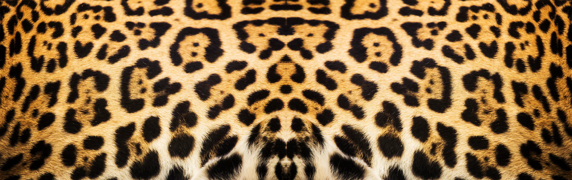 Orion mPulse® Vinyl Skins - Image 12